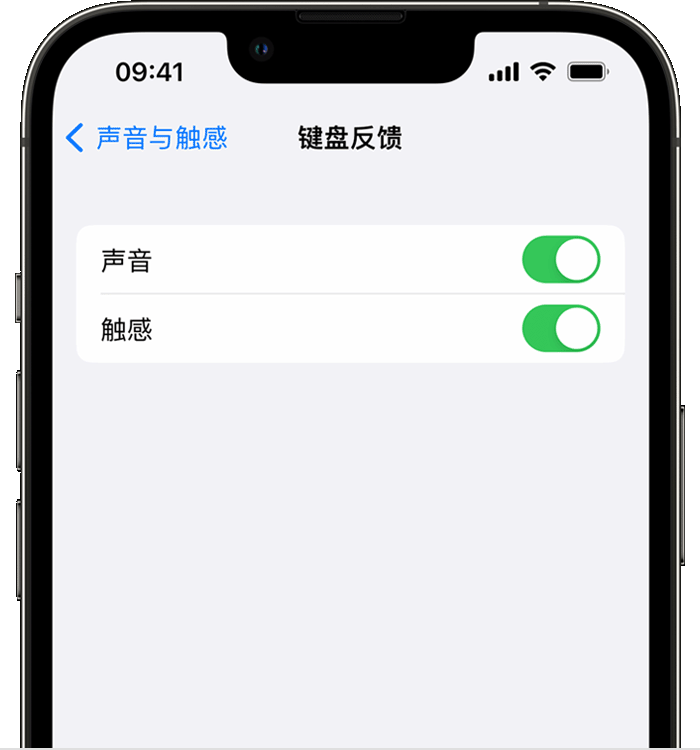 如何在 iPhone 14 机型中使用触感键盘?