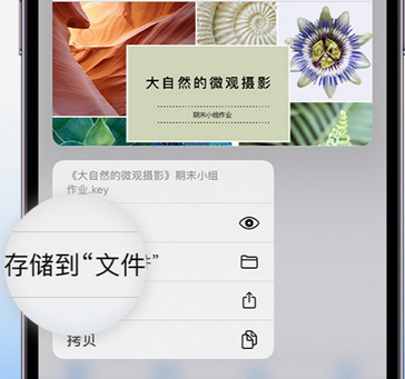 博乐apple维修中心分享iPhone文件应用中存储和找到下载文件