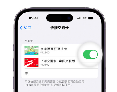 博乐apple维修点分享iPhone上更换Apple Pay快捷交通卡手绘卡面 