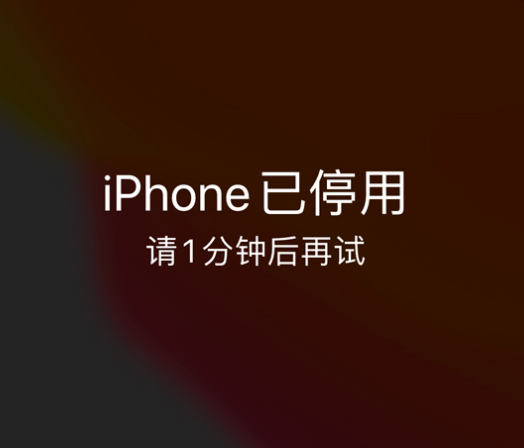 博乐苹果手机维修分享:iPhone 显示“不可用”或“已停用”怎么办？还能保留数据吗？ 