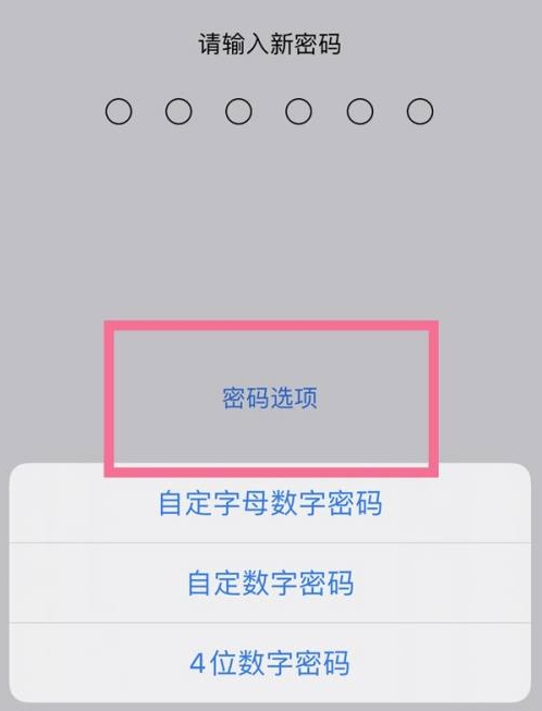 博乐苹果14维修分享iPhone 14plus设置密码的方法 