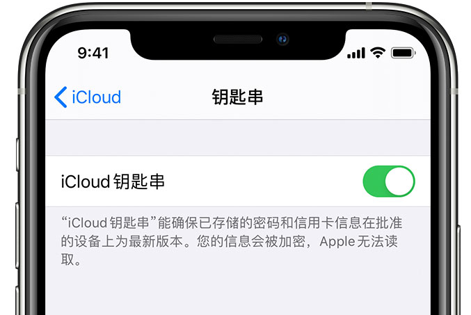 博乐苹果手机维修分享在 iPhone 上开启 iCloud 钥匙串之后会储存哪些信息 