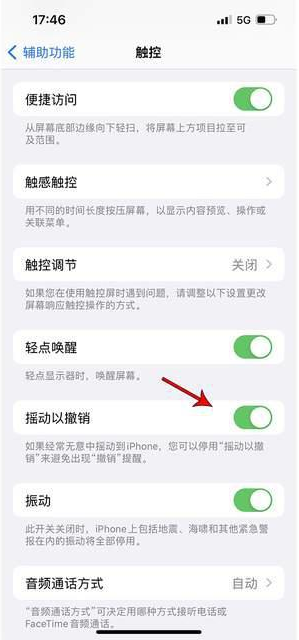 博乐苹果手机维修分享iPhone手机如何设置摇一摇删除文字 