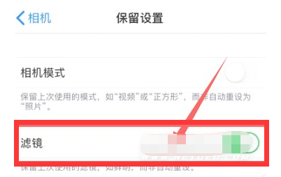 博乐苹果13维修分享iPhone13拍照有绿点是怎么回事 