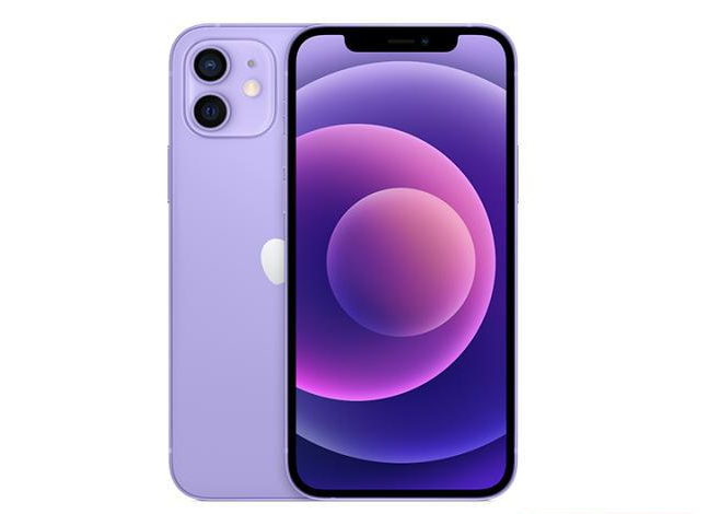博乐苹果手机维修分享现阶段要不要入手紫色版iPhone12 