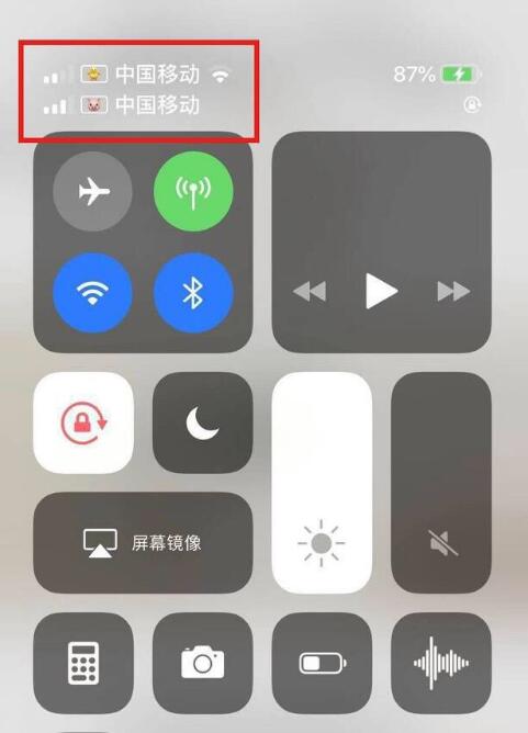 博乐苹果手机维修分享为 iPhone 12 双卡设置标签 