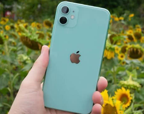 博乐苹果维修点分享iPhone 11锁屏密码认知与使用科普 