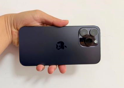 博乐苹果维修点分享iPhone 14 Pro Max黑屏少见故障盘点 